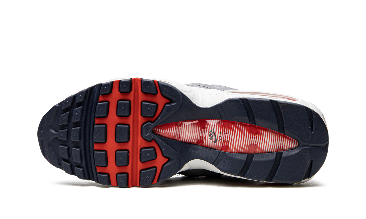 "Grey USA" Air Max 95 DB0250 001 - product image from the listing.