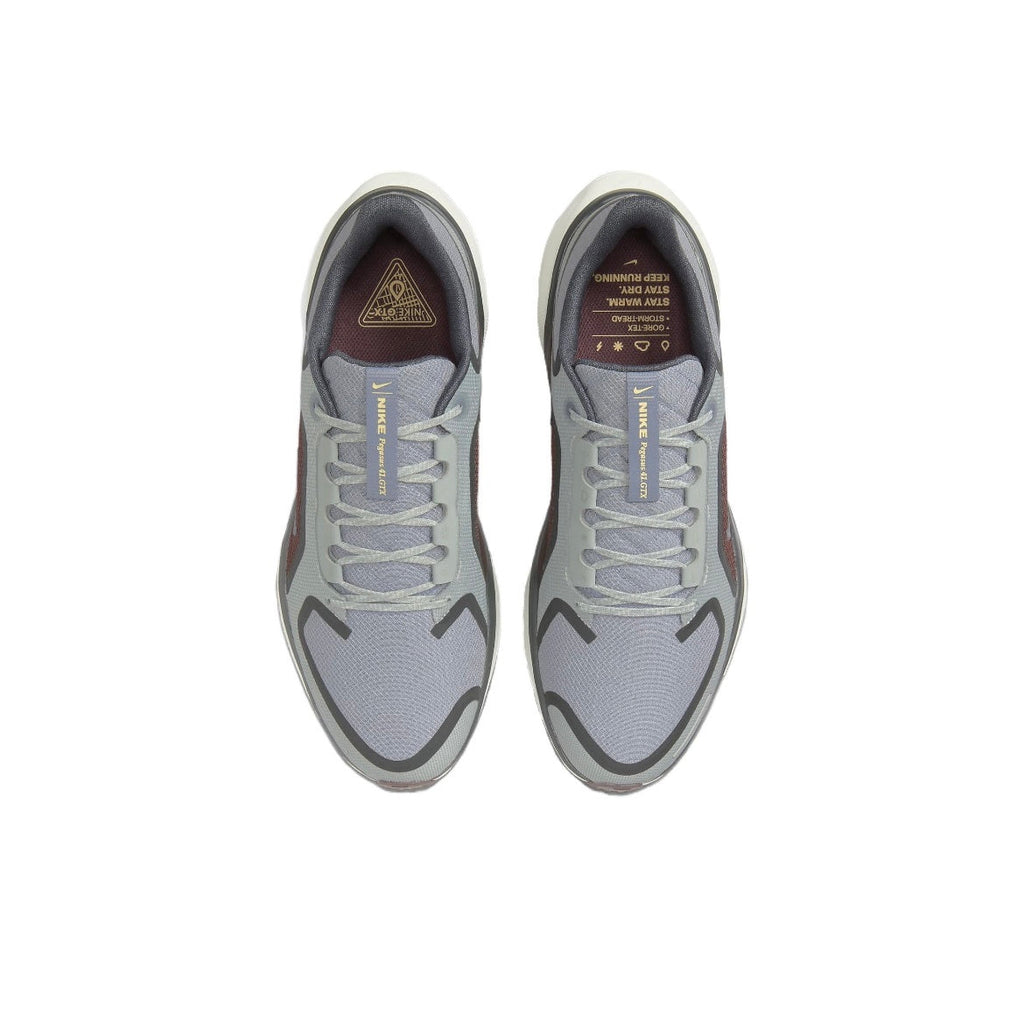 Nike Pegasus 41 GORE-TEX Shoes for Running FQ1356-003 - product image from the listing.