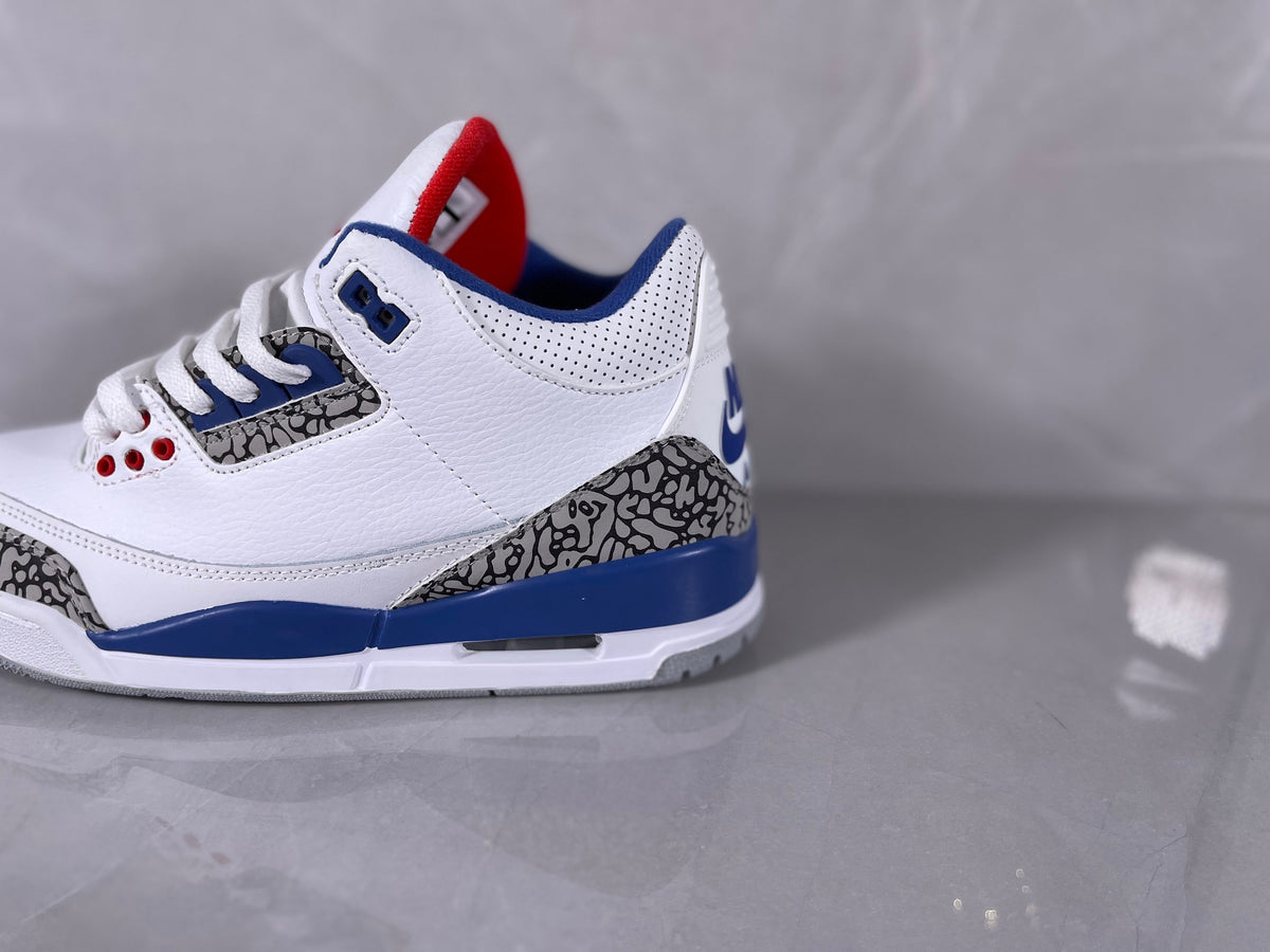 White and Blue Elephant Print Sneakers - Jordan 3 - product image from the listing.