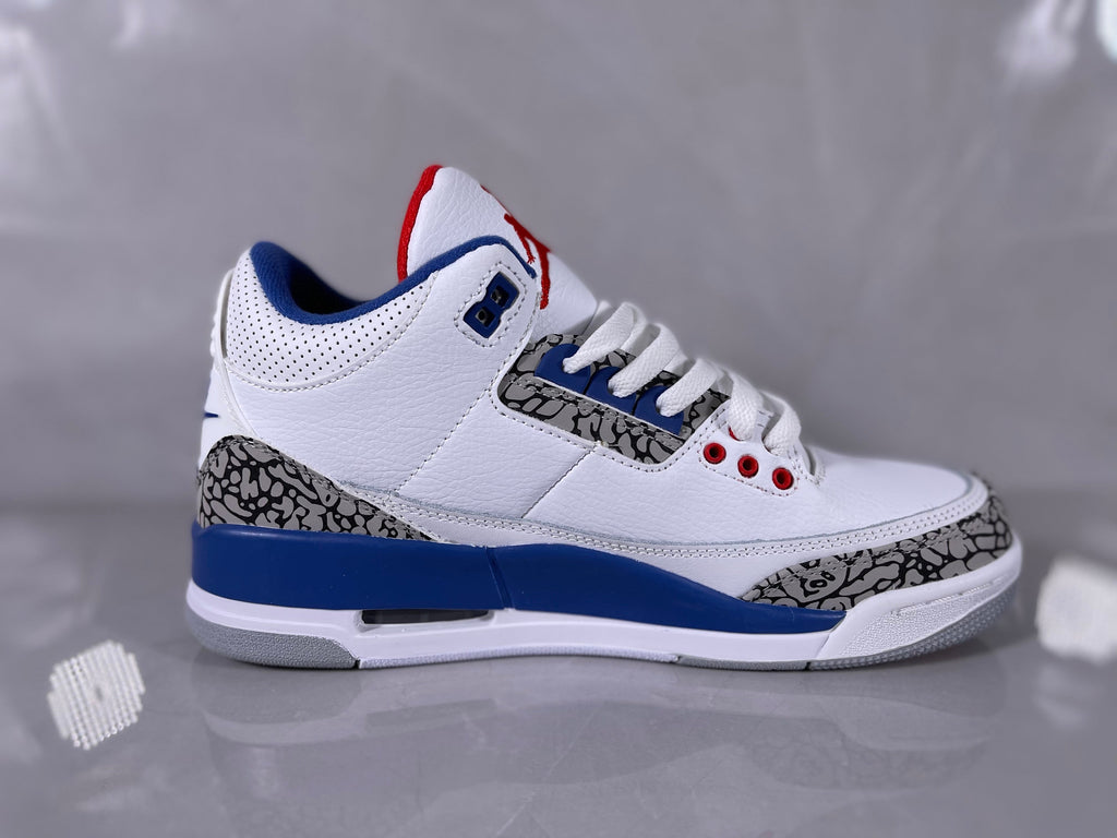 White Blue Elephant Print Sneakers - Nike Air Jordan 3 - product image from the listing.