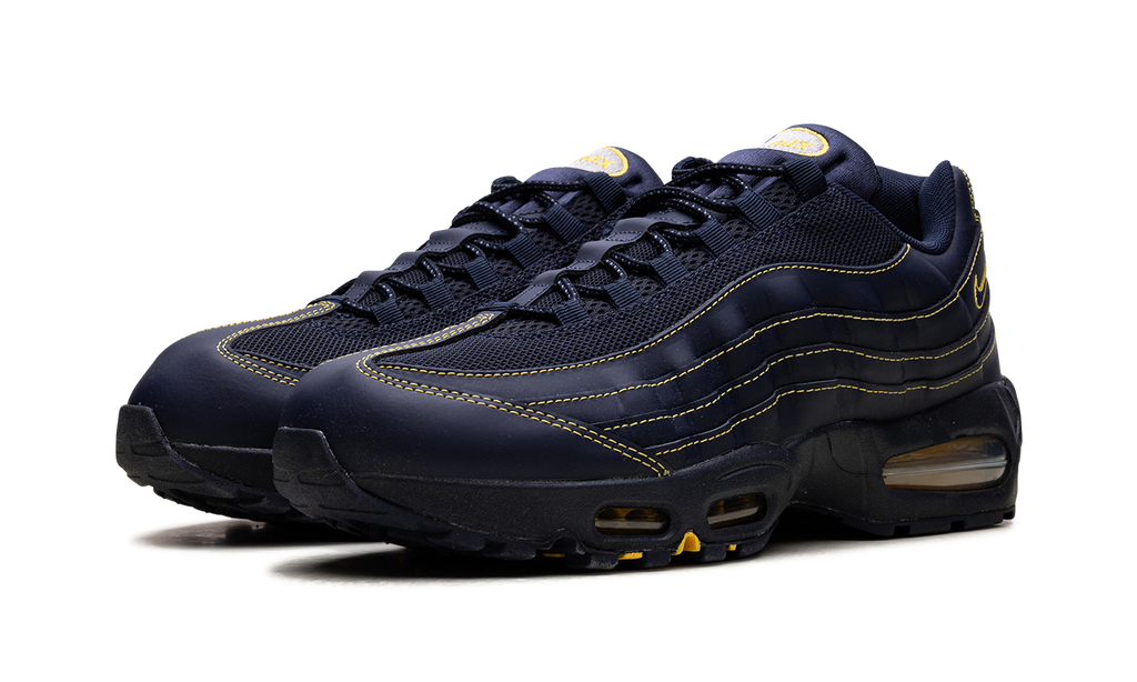 "Michigan" Air Max 95 IB7936 400 - product image from the listing.