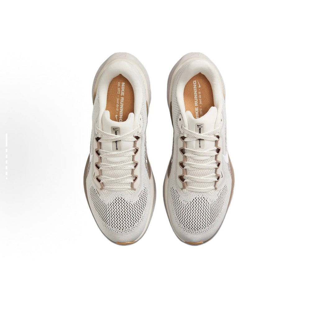Nike Pegasus 41 Running Shoes FD2723-008 in Gray - product image from the listing.