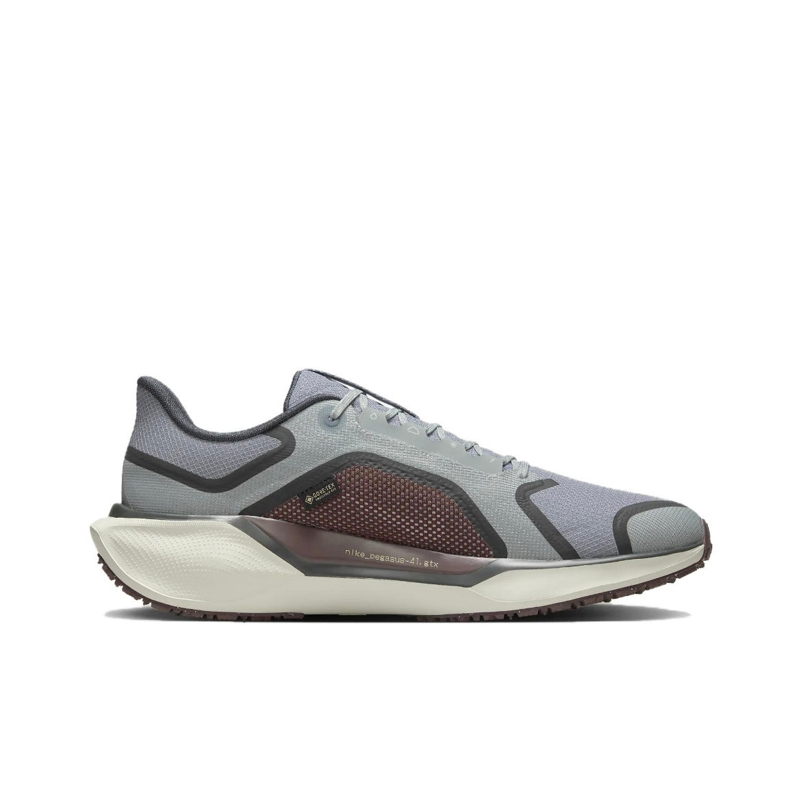 Nike Pegasus 41 GORE-TEX Shoes for Running FQ1356-003 - product image from the listing.