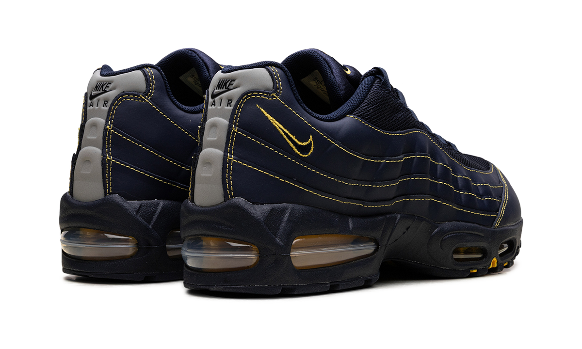 "Michigan" Air Max 95 IB7936 400 - product image from the listing.