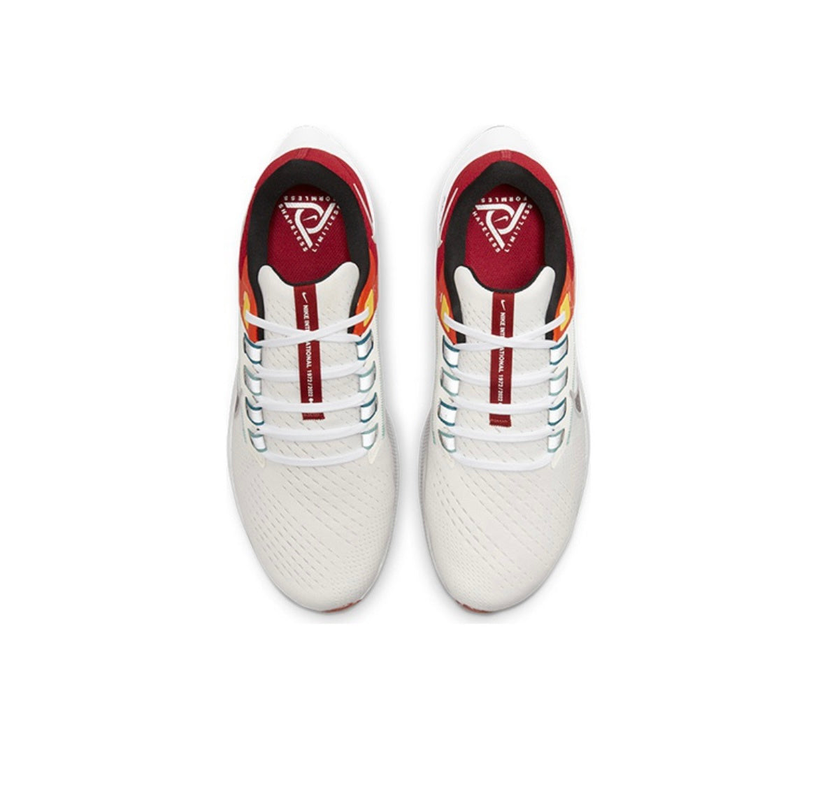Nike Air Zoom Pegasus 38 Shoes for Running DQ4499-101 - product image from the listing.