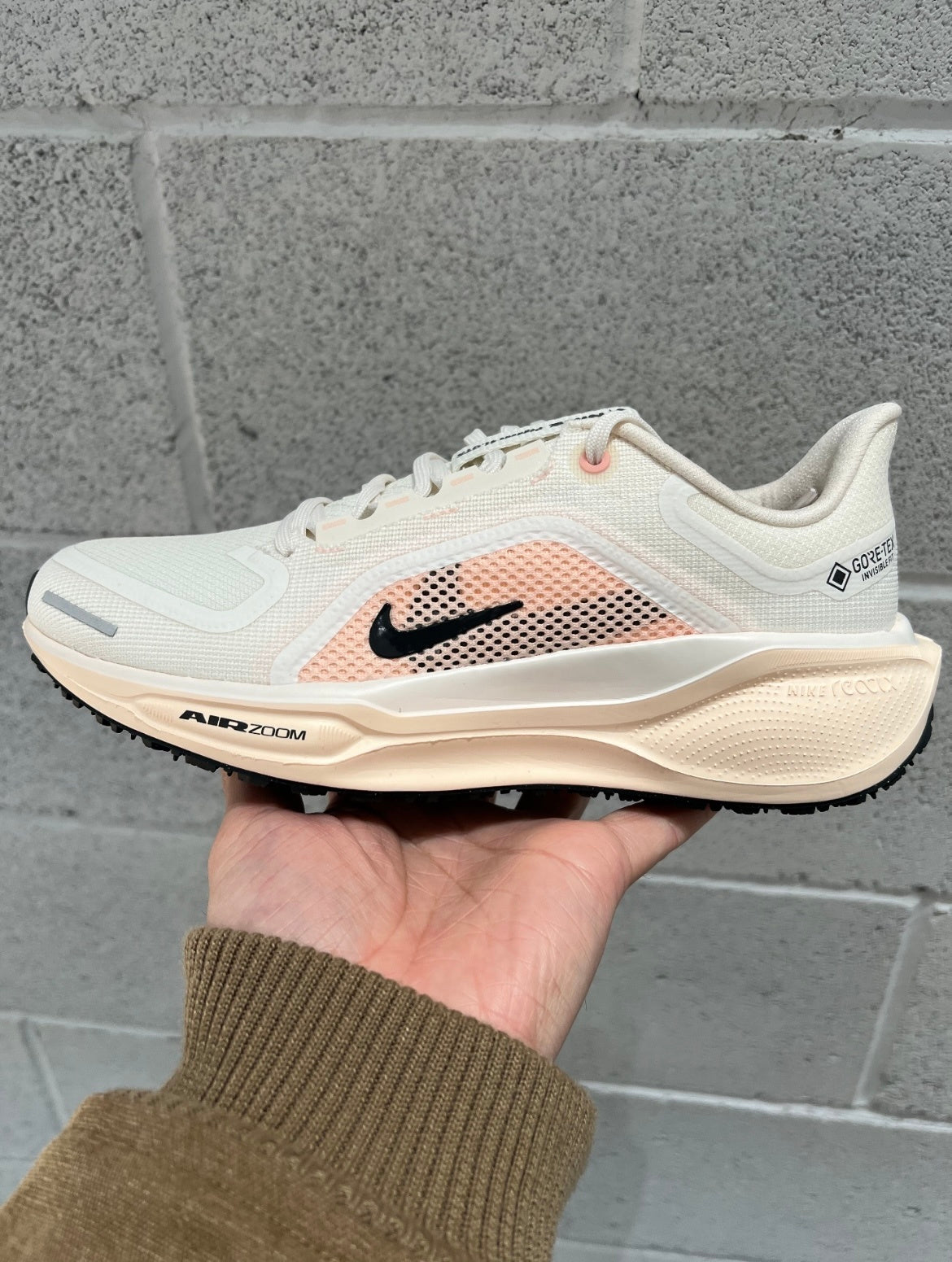 Nike Pegasus 41 GORE-TEX Shoes for Running FQ1357-100 - product image from the listing.