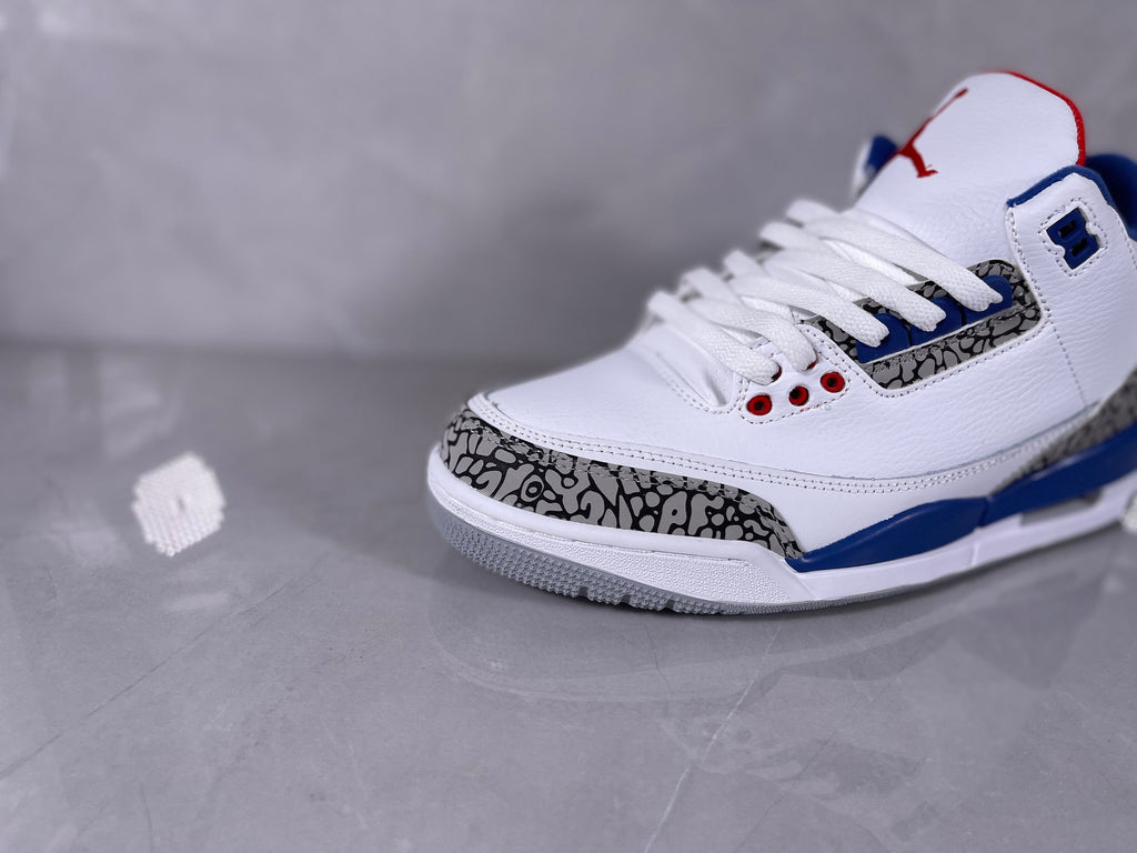 White and Blue Elephant Print Sneakers - Jordan 3 - product image from the listing.