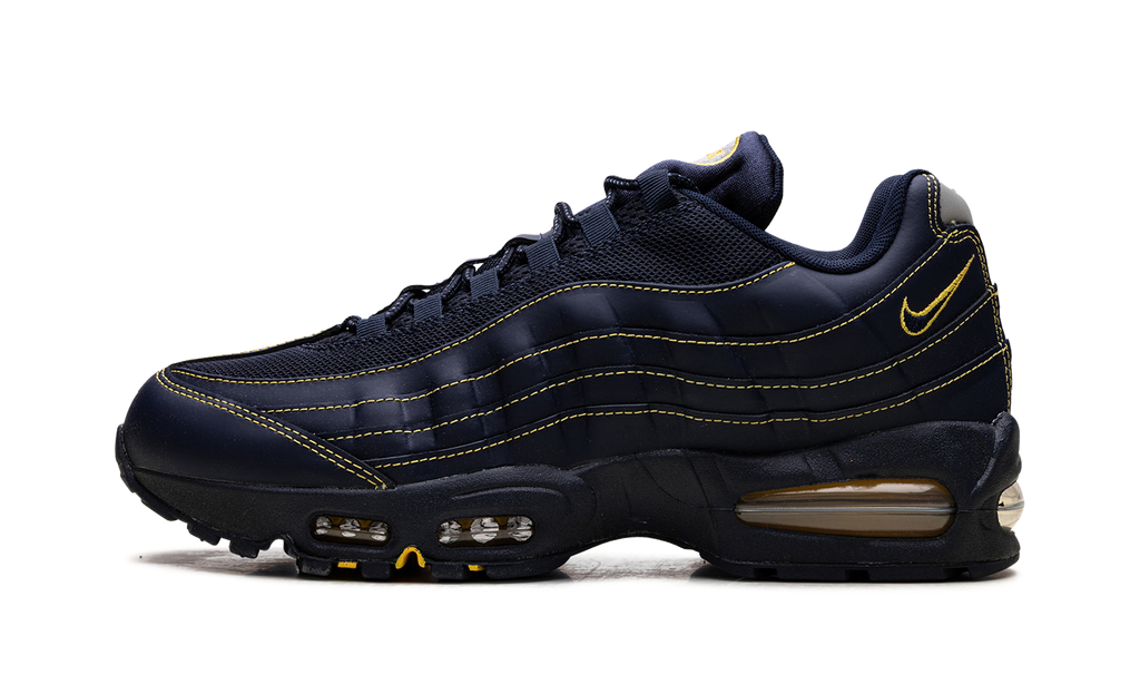 "Michigan" Air Max 95 IB7936 400 - product image from the listing.
