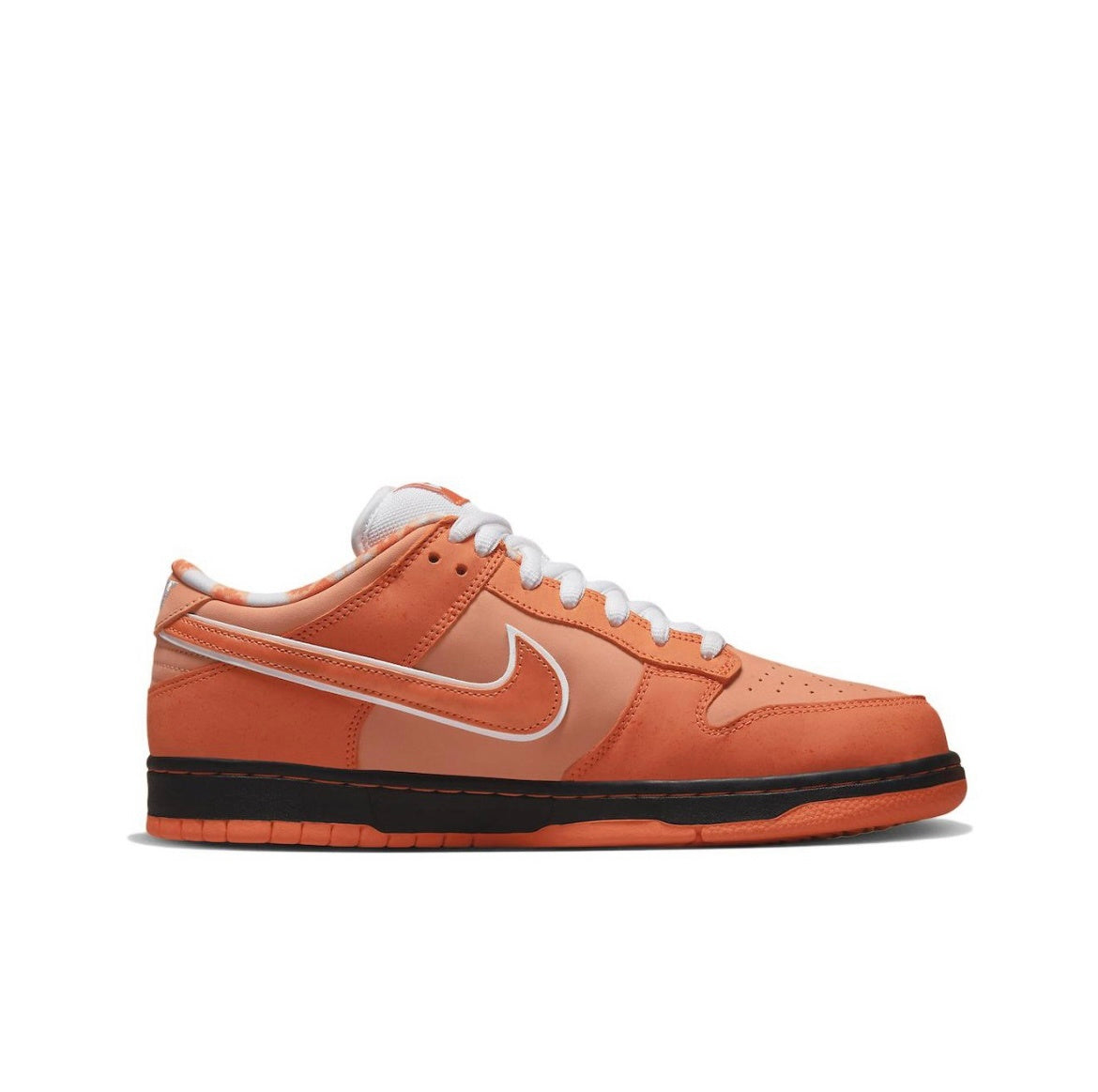 SB Dunk Low Orange Lobster FD8776-800 by Nike - product image from the listing.