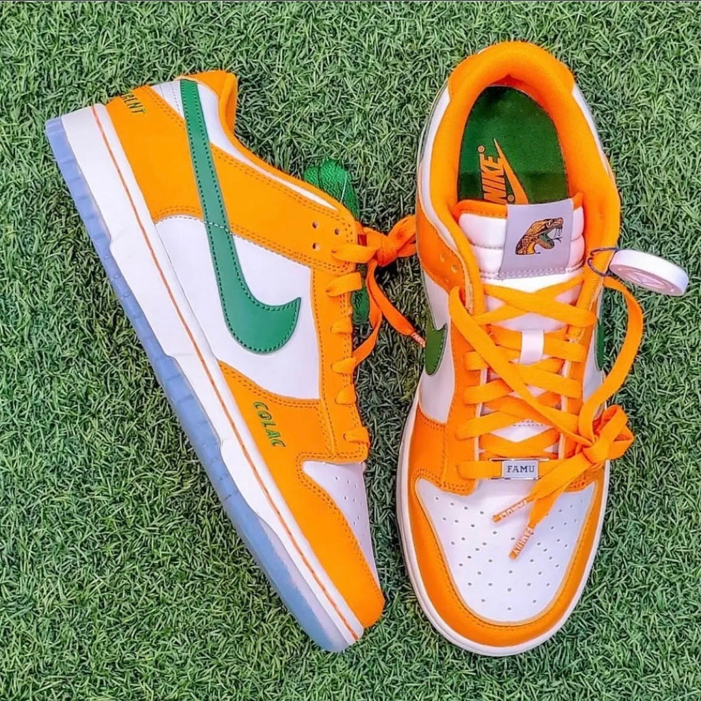 Nike Dunk Low Florida A&M in White Orange DR6188-800 - product image from the listing.