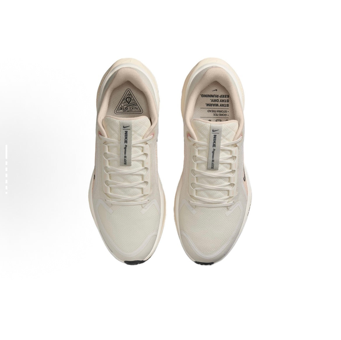 Nike Pegasus 41 GORE-TEX Shoes for Running FQ1357-100 - product image from the listing.