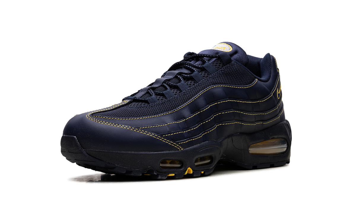"Michigan" Air Max 95 IB7936 400 - product image from the listing.