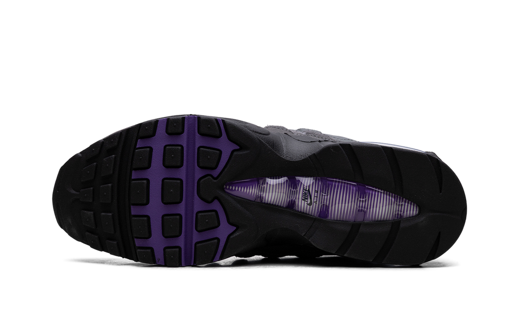 "Racing Pack Iron Grey Wild Grape" Air Max 95 IH1228 001 - product image from the listing.