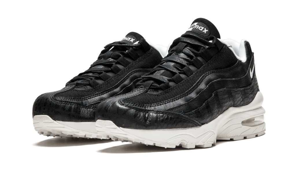 "Black/Summit White" Air Max 95 (GS) 922173 002 - product image from the listing.