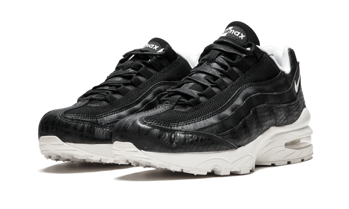 "Black/Summit White" Air Max 95 (GS) 922173 002 - product image from the listing.