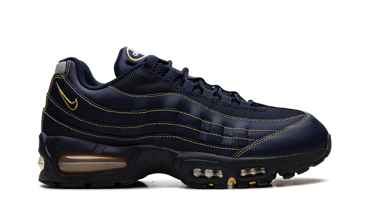 "Michigan" Air Max 95 IB7936 400 - product image from the listing.
