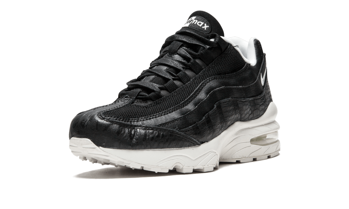 "Black/Summit White" Air Max 95 (GS) 922173 002 - product image from the listing.